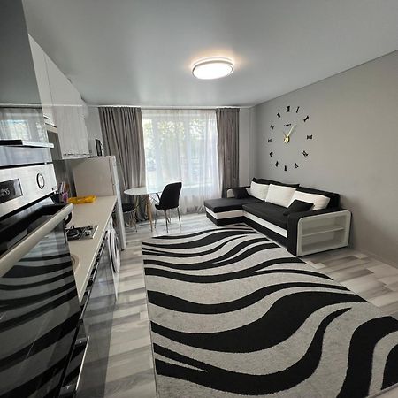 Apartament Edinet-Единец エクステリア 写真